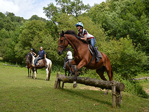 Farmhouse Turquoise twin room